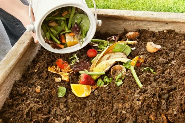 Compost Materials