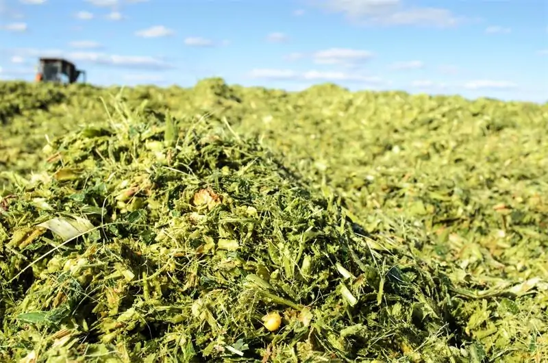 Green Waste