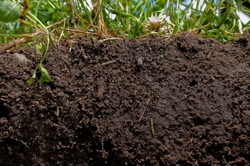Refined Soil Fraction