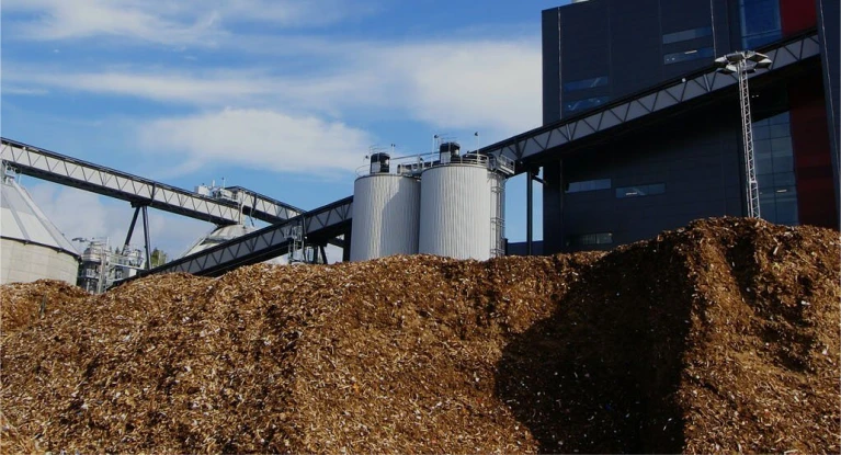 Biomass Handling Systems