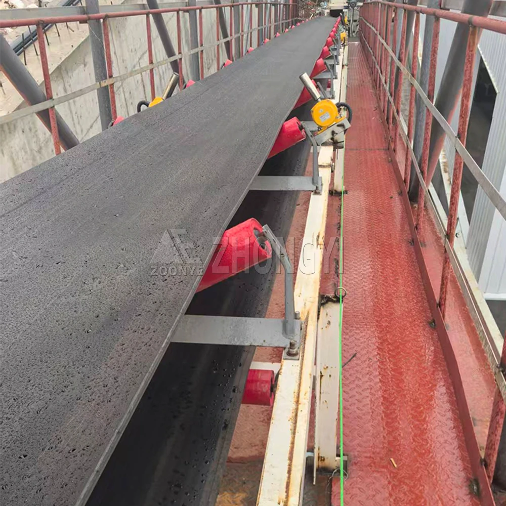 Bulk Material Conveyor