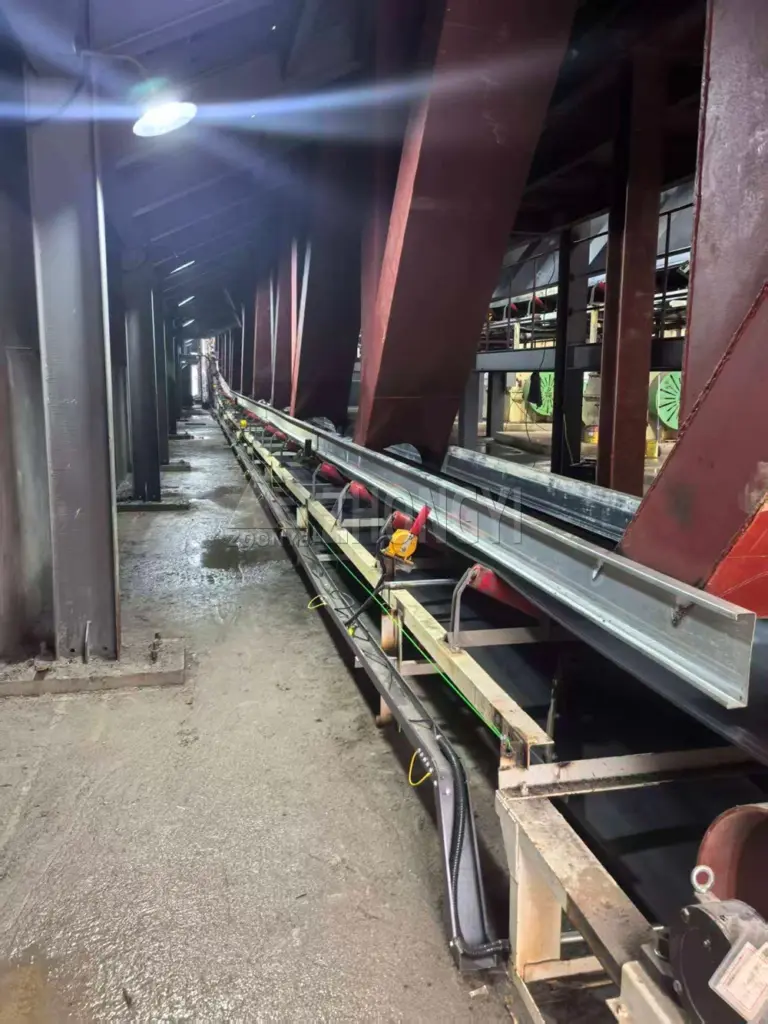 Bulk Material Conveyor